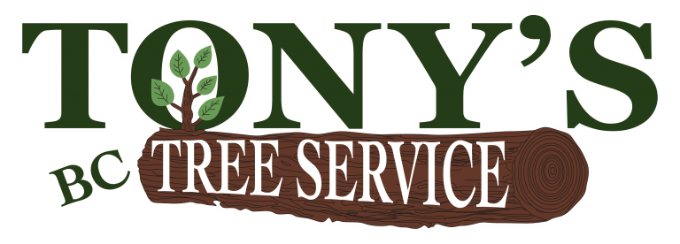 Tony's BC Tree Service